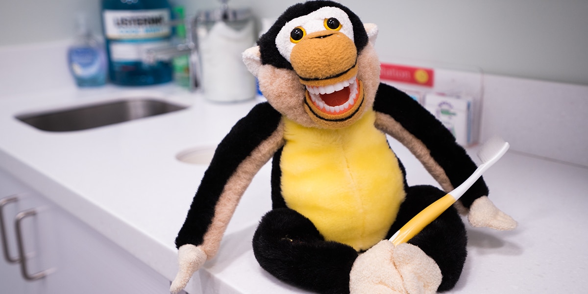 stuffed monkey toy with toothbrush